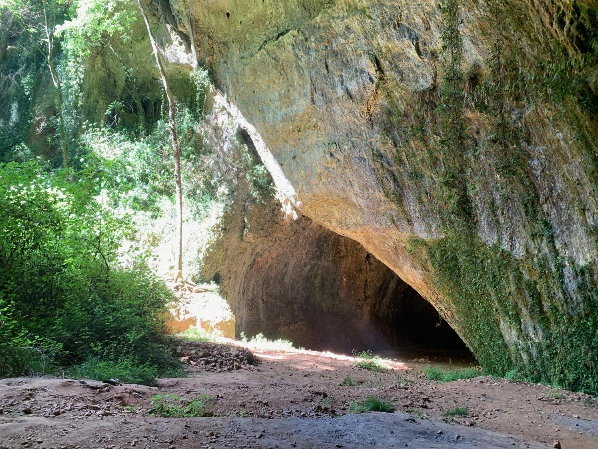 La Magnanerie De Dions Exterior foto